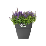 vibia campana carré 30cm anthracite